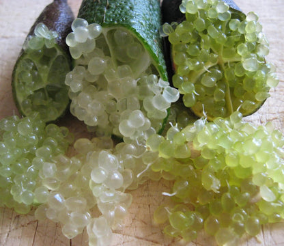 Fresh Finger Limes by RawJoy - 4 Oz