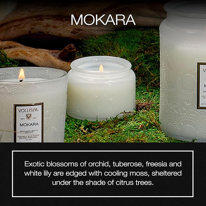 Voluspa Mokara, Petite Candle Jar, 3.2 ounce, 25 Hour Burn Time, Coconut Wax for Clean Burning, Handcrafted in the USA