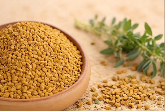 Fresh Organic Fenugreek Seeds by RawJoy