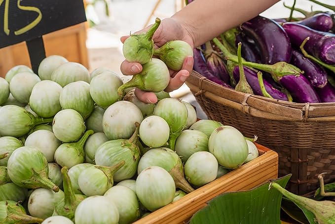 Fresh Organic Thai Green Eggplants by RawJoy Farms