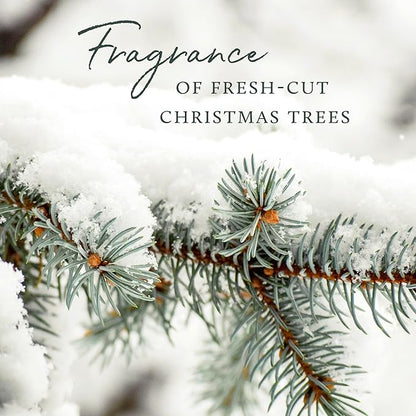 Thymes Frasier Fir Reed Diffuser 7 oz