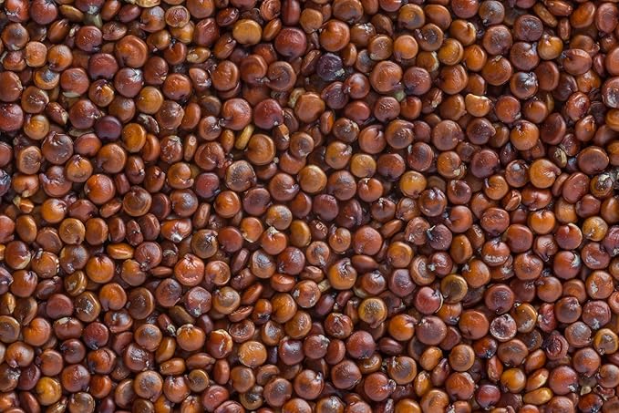 Fresh Organic Red Quinoa By RawJoy