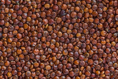 Fresh Organic Red Quinoa By RawJoy