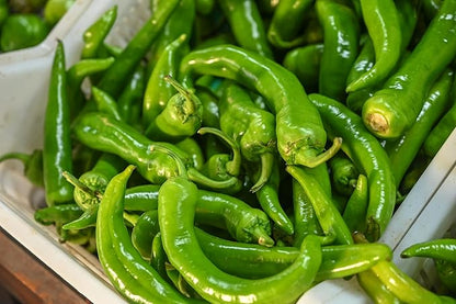 Fresh Bright Green Shishito Peppers by RawJoy Farms