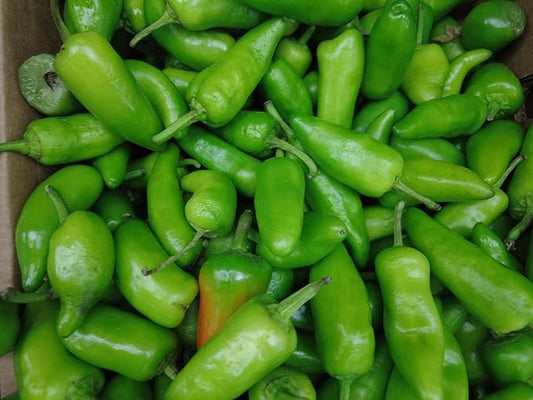 Fresh Organic Jalapeño Peppers by RawJoy Farms