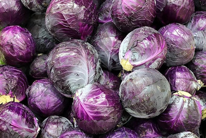 Fresh Organic Red Cabbages by RawJoy Farms