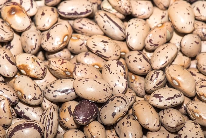 Fresh Organic Pinto Beans By RawJoy
