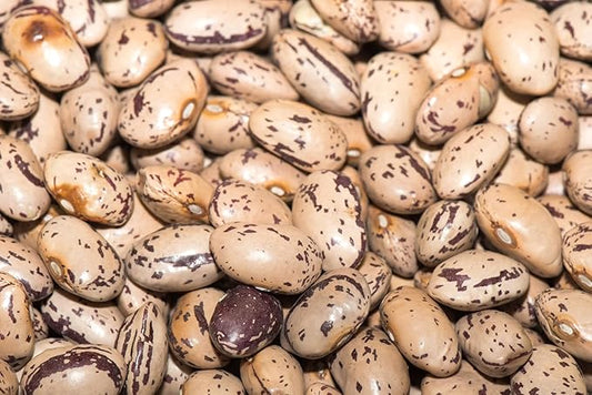 Fresh Organic Pinto Beans By RawJoy