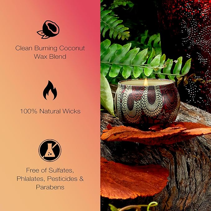 Voluspa Goji Tarocco Orange, Mini Tin Candle, 4 oz, 25 Hour Burn Time, Coconut Wax for Clean Burning, Handcrafted in the USA