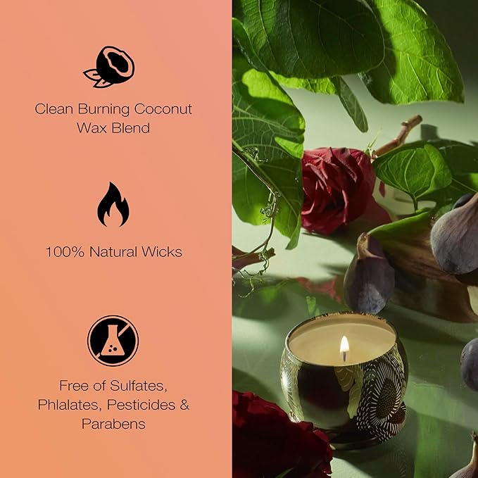 Voluspa Forbidden Fig, Mini Tin Candle, 4 oz, 25 Hour Burn Time, Coconut Wax for Clean Burning, Handcrafted in The USA