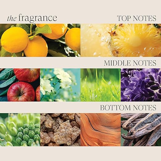 Lanza Color Preserving Shampoo 33.8 oz