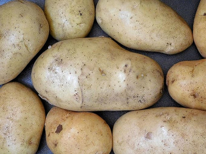 Organic Fresh Russet Potatoes by RawJoy Farms