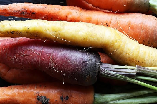 Organic Fresh Rainbow Carrots by RawJoy Farms