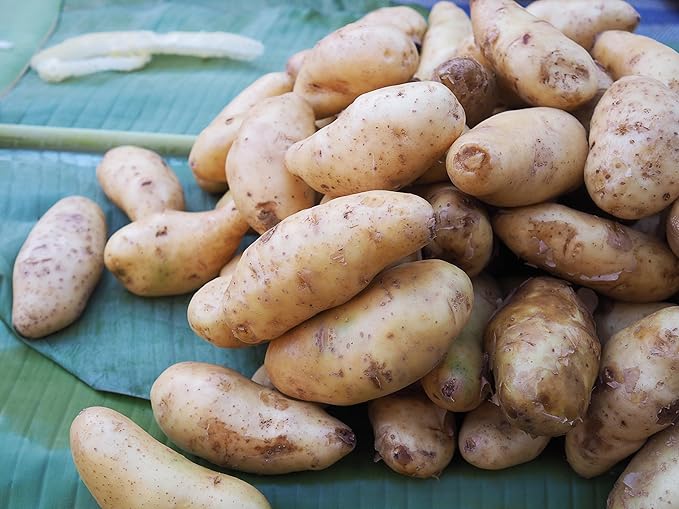 Fresh Organic Fingerling Potatoes by RawJoy Farms