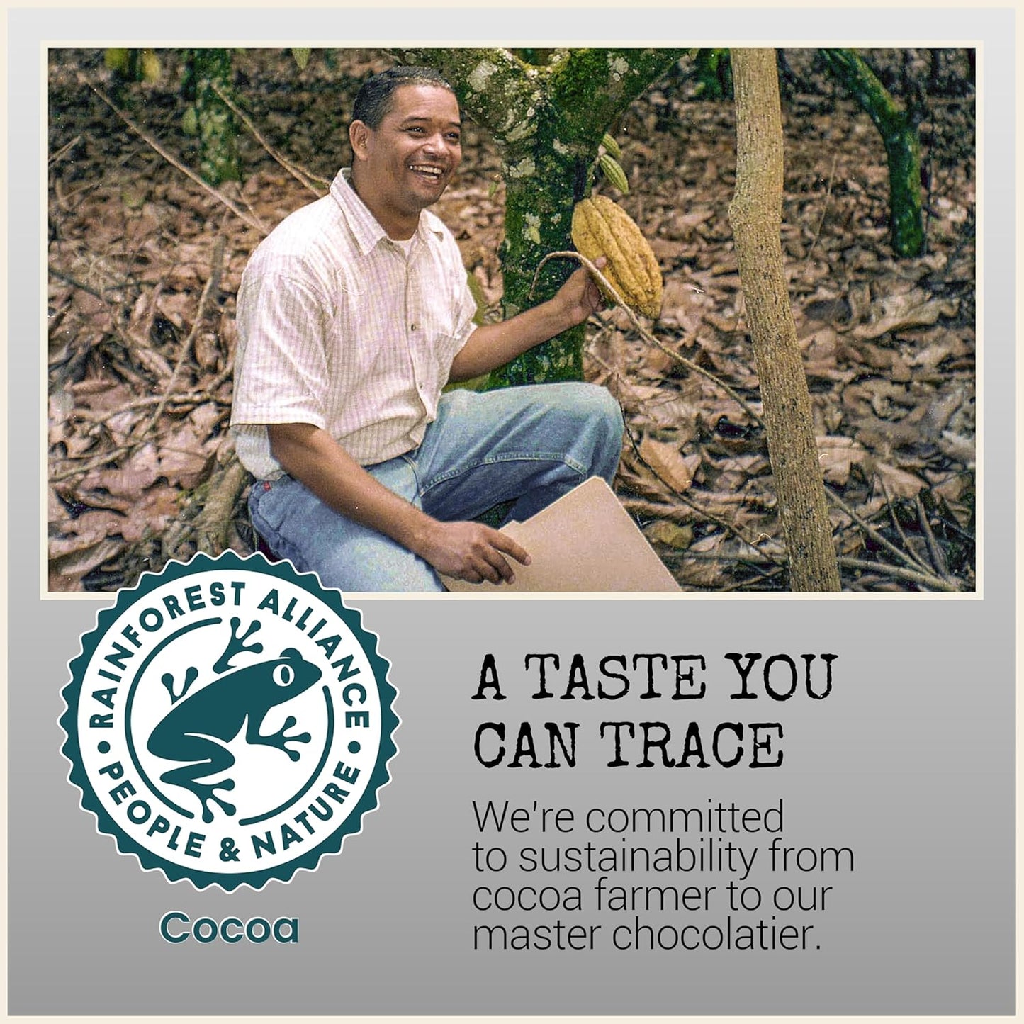 Chocolove Extreme Dark 88% Cocoa 12 pack