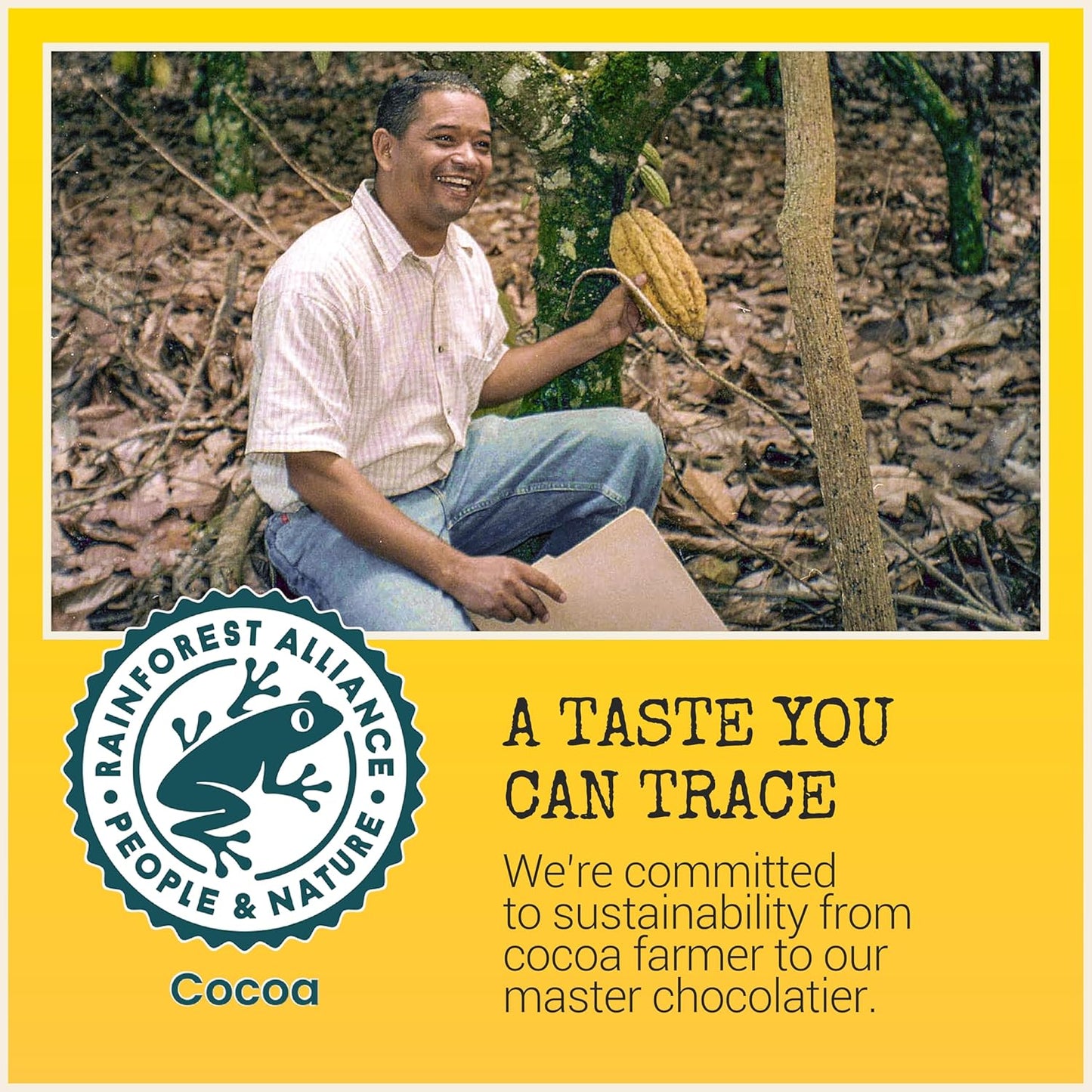 Chocolove Tofffee & Almonds Milk Chocolate 3.2 oz - 12 Pack