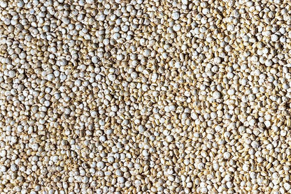 Fresh Organic White Quinoa By RawJoy