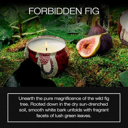 Voluspa Forbidden Fig, Mini Tin Candle, 4 oz, 25 Hour Burn Time, Coconut Wax for Clean Burning, Handcrafted in The USA