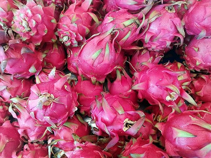 Fresh Sweet Dragon Fruit by RawJoy Farms