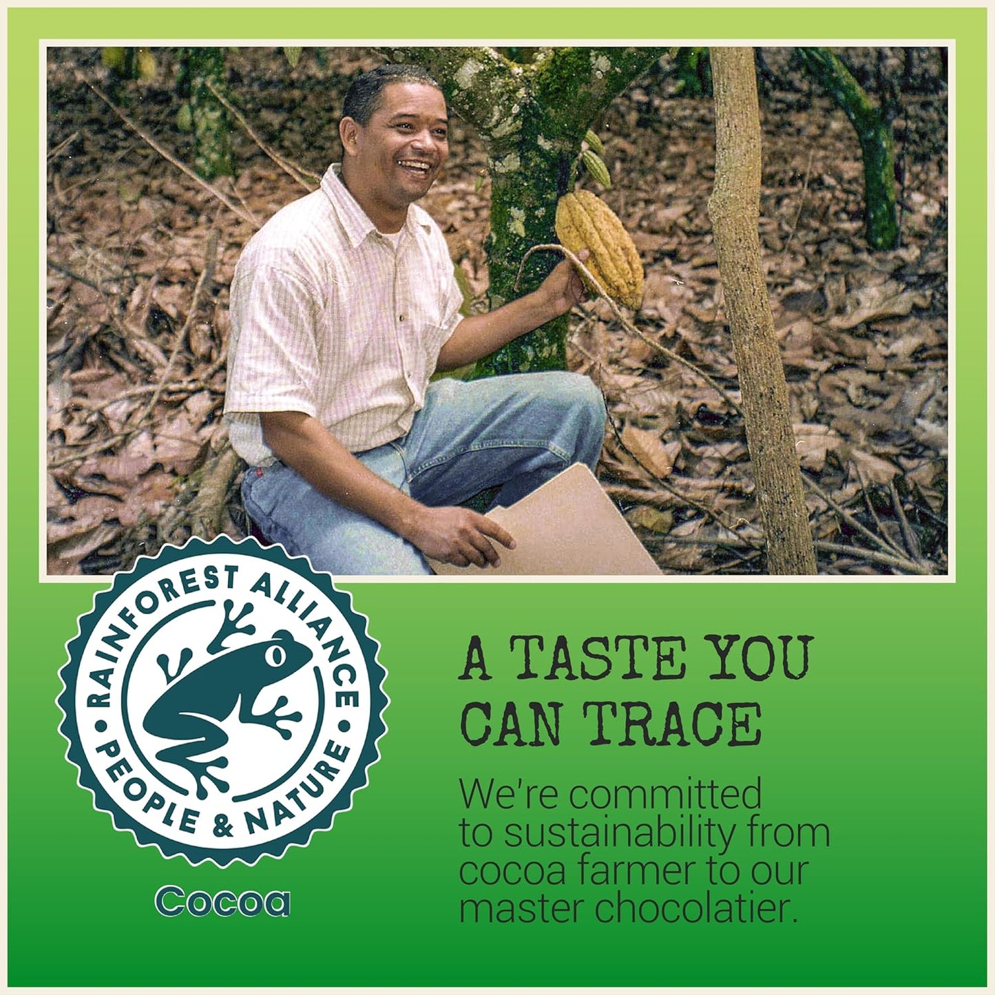 Chocolove Mint Crème Bars | 55% Cocoa | Infused with Dairy Free Peppermint Creme in Creamy Dark Chocolate | Non GMO, Rainforest Alliance Certified, 3.2oz Bar (10 Pack)