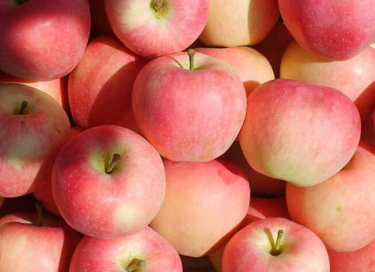 Gala Apples | Fresh, Sweet & Crisp
