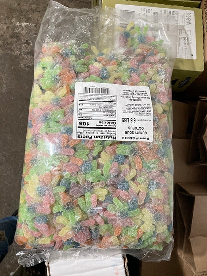 Gummy Sour Octopus 6.6 lbs
