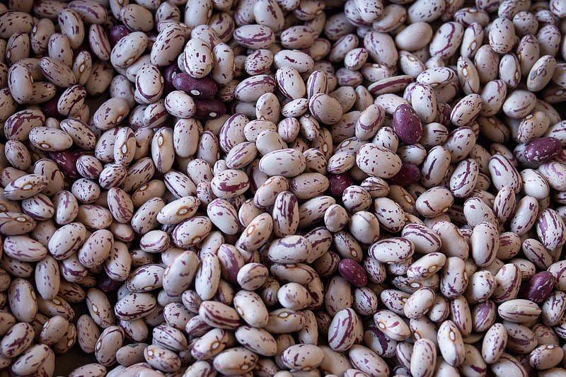 Dry Cranberry Beans 50lbs package