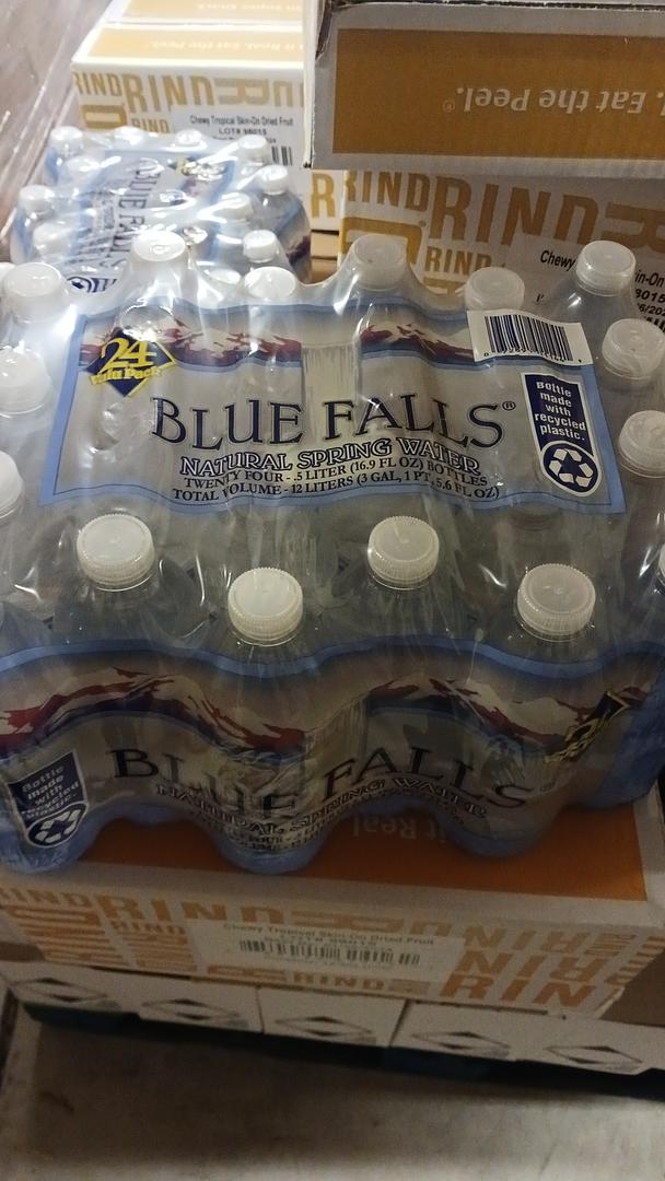 Blue Falls Spring Water 16.9 oz bottles (Case Pack of 24)