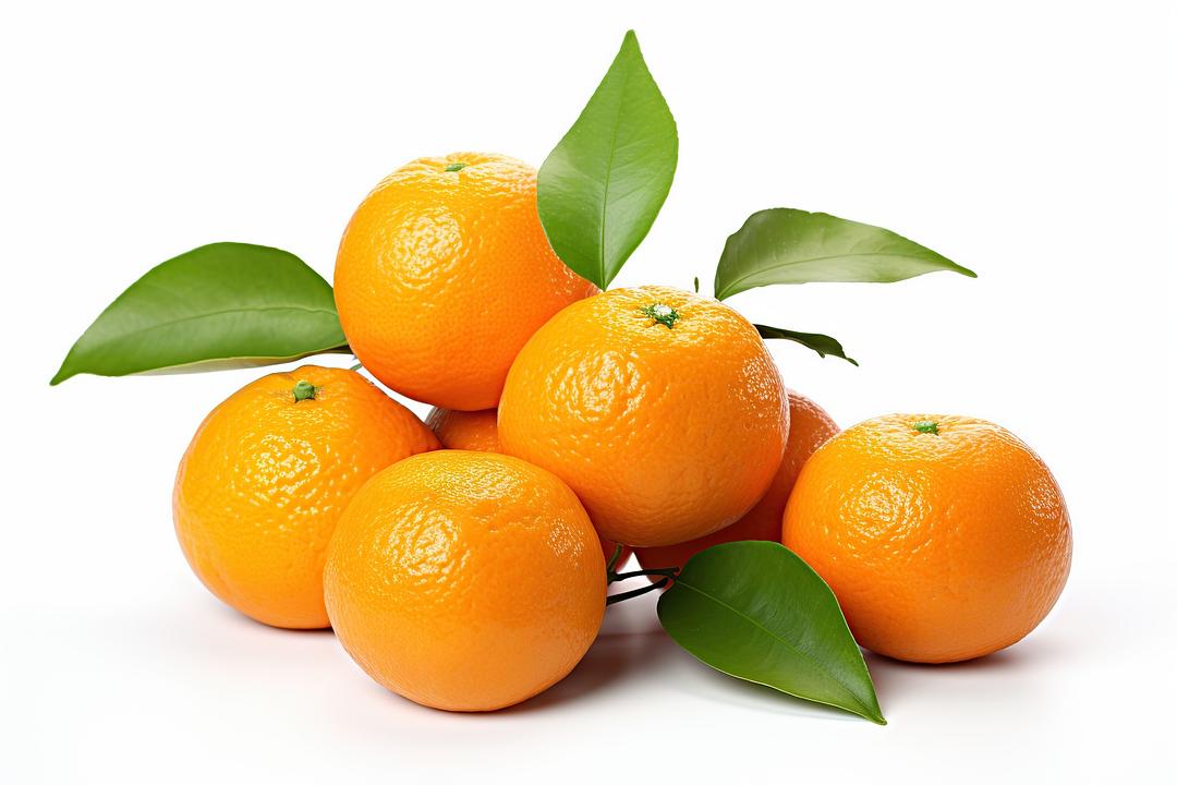Fresh Satsuma Mandarins by RawJoy Farms