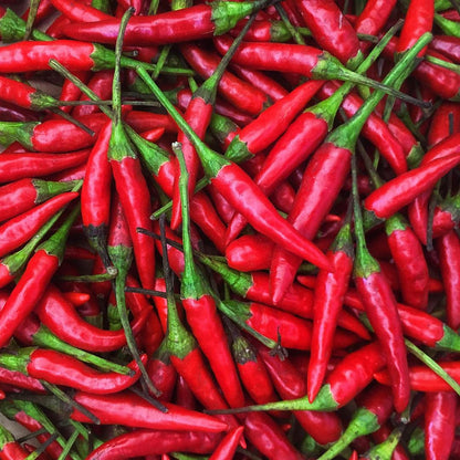 Fresh and Spicy Thai Red Chili by RawJoy Farms