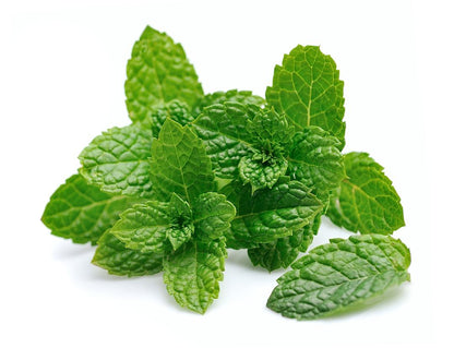 Fresh Mint Leaves by RawJoy Farms