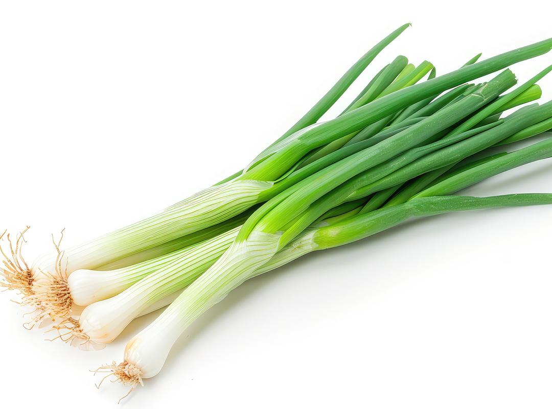 Fresh Green Onions Bunch by RawJoy Farms