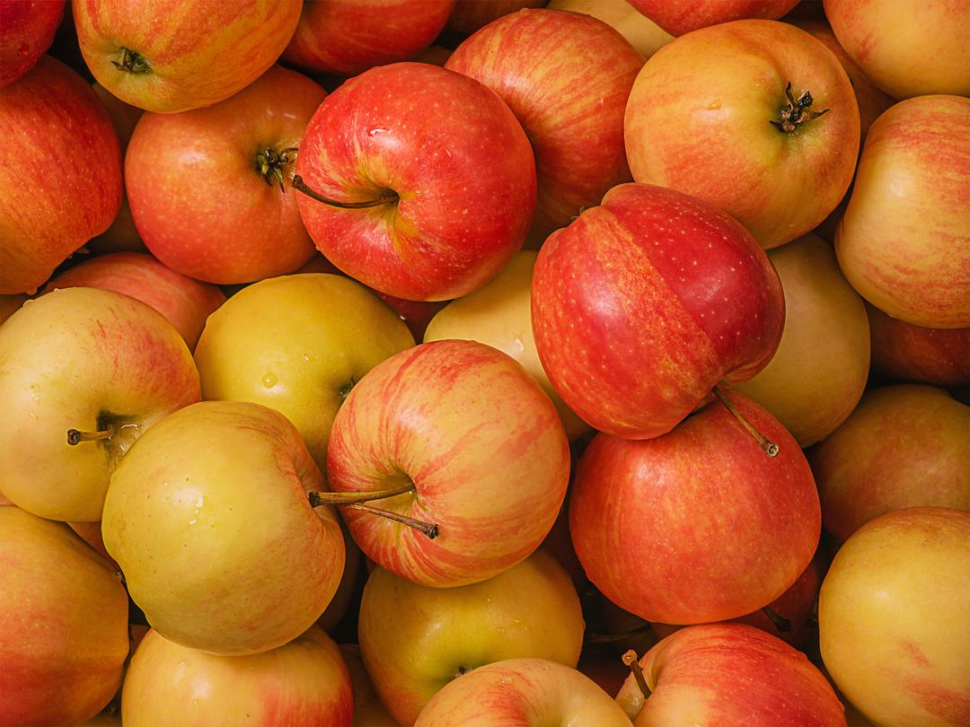 Fresh delicious Gala Apples by RawJoy Farms