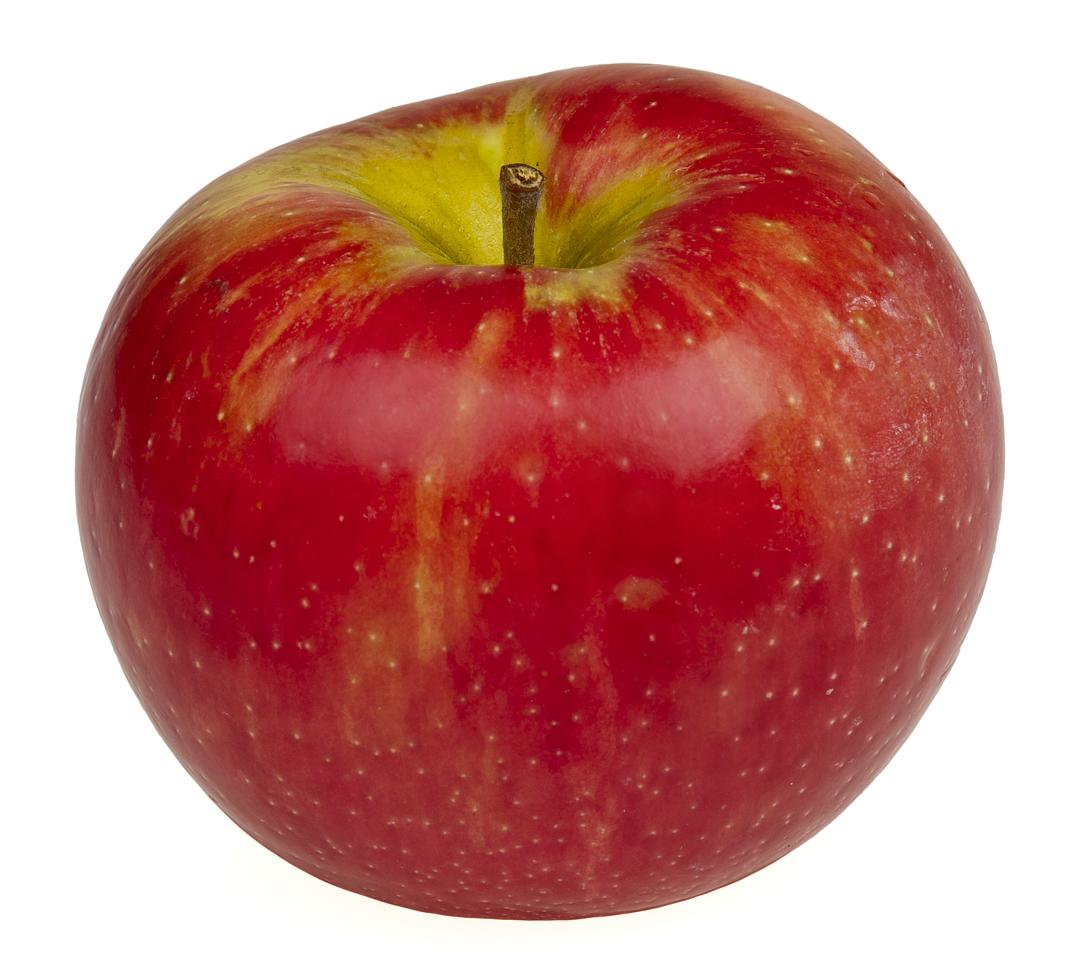Fresh Honeycrisp delicious apples by RawJoy Farms