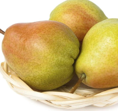 Fresh delicious Colossal Comice Pear by RawJoy Farms