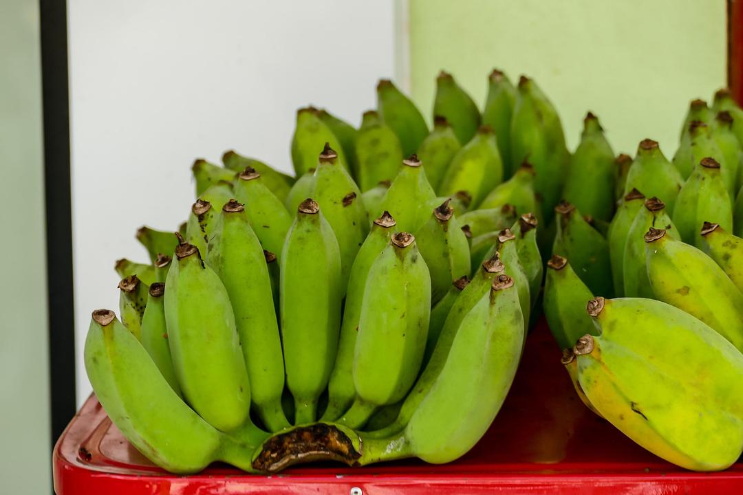 Fresh Organic Green Plantain Bananas by RawJoy Farms