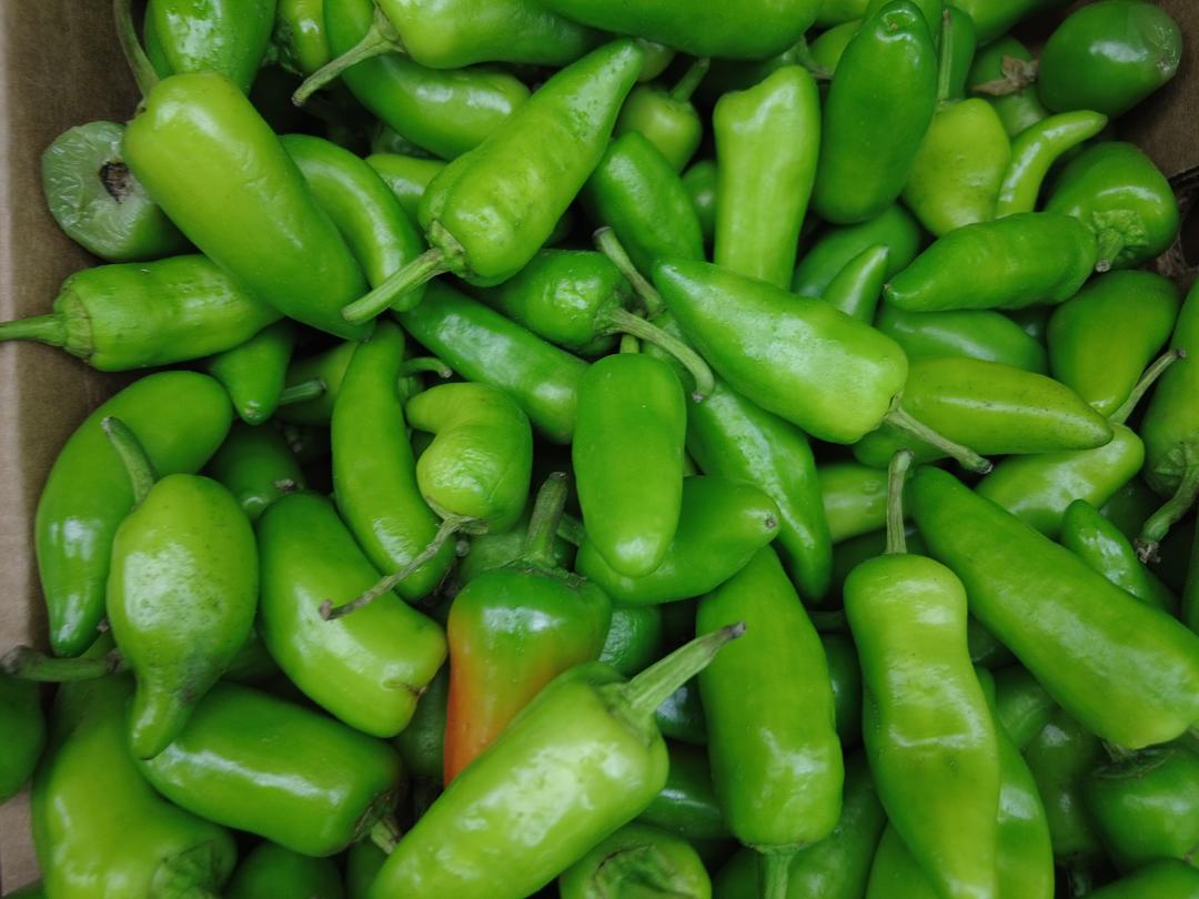 Fresh Organic Jalapeño Peppers by RawJoy Farms
