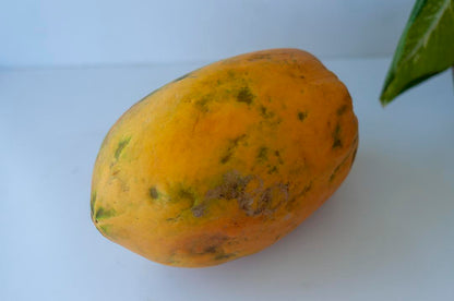 Fresh Delicious Red Papaya by RawJoy Farms