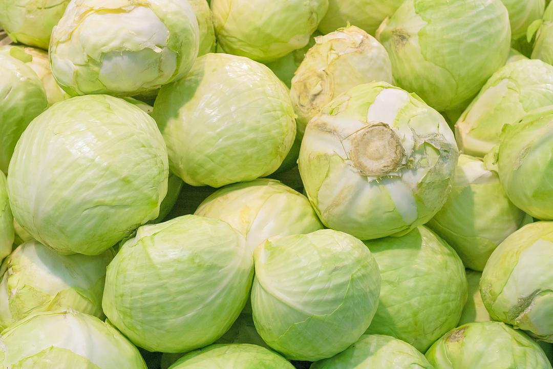 Fresh Organic Green Cabbage by RawJoy Farms