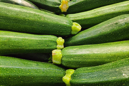 Organic Fresh Zucchini Squash by RawJoy Farms