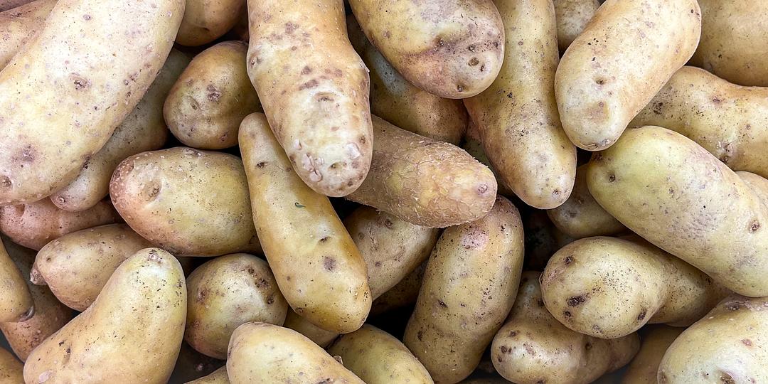Fresh Organic Fingerling Potatoes by RawJoy Farms