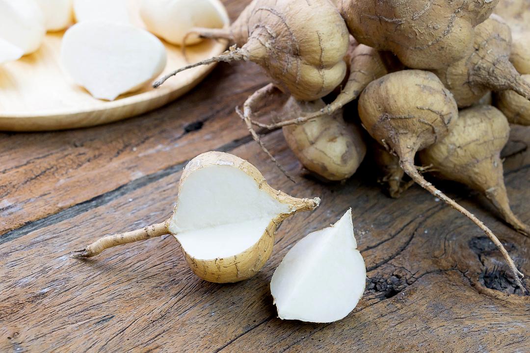Organic Fresh Jicama by RawJoy Farms
