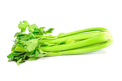 Organic Fresh Green Celery by RawJoy Farms