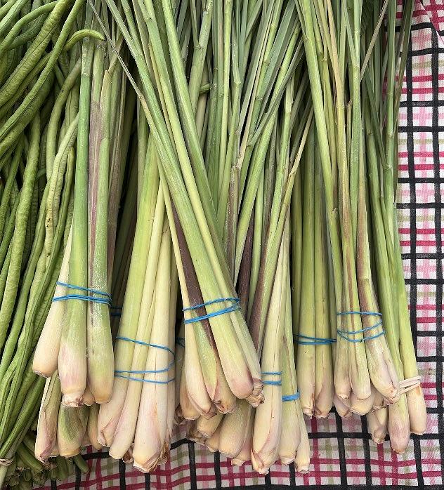 Fresh Lemon Grass Stalks by RawJoy Farms
