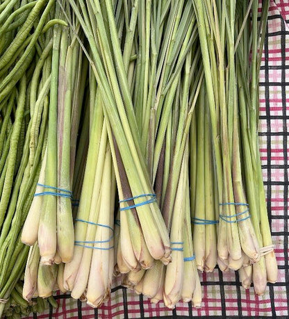 Fresh Lemon Grass Stalks by RawJoy Farms