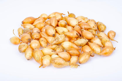 Fresh Yellow Shallots by RawJoy Farms