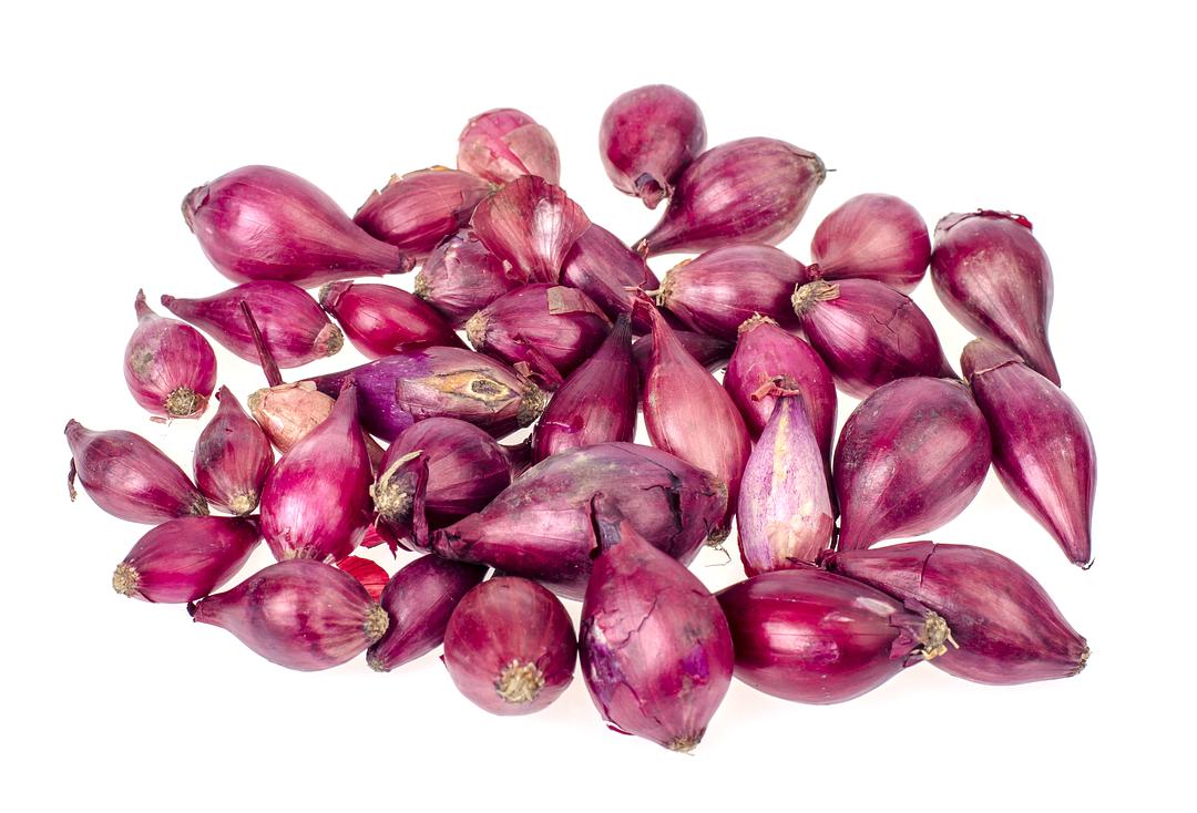 Fresh Red Shallot by RawJoy Farms