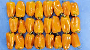Fresh Tatayoyo Pepper By RawJoy Farm