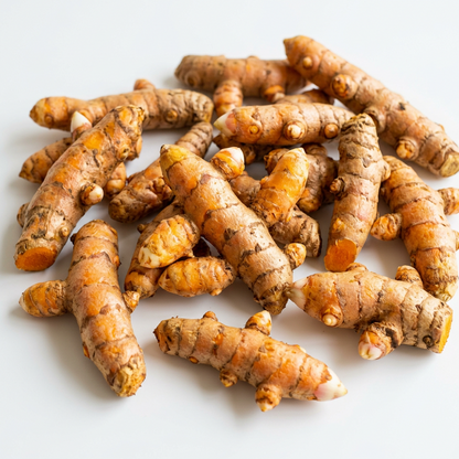 RawJoy Fresh Turmeric Roots for Planting – 2 lbs, Yellow Turmeric Rhizomes (Curcuma Longa)