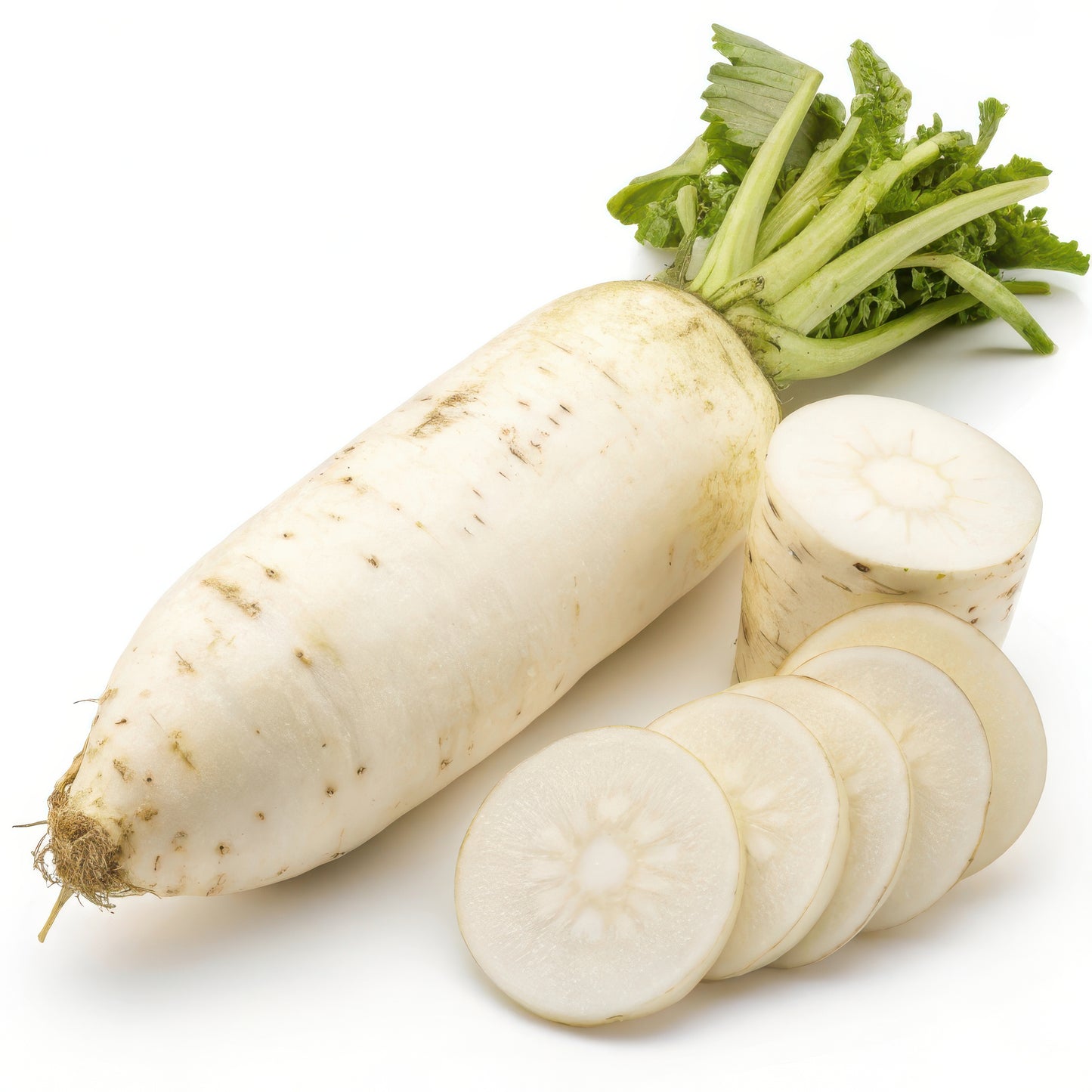 Fresh Daikon Radish by RawJoy Farms 5 Pounds
